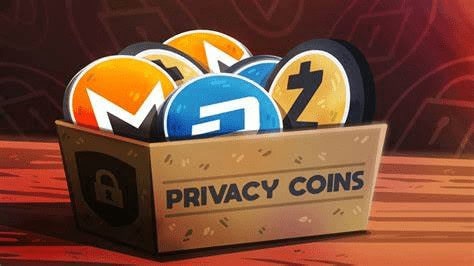 Privacy Tokens vs Privacy Mixers: Key Differences Explained