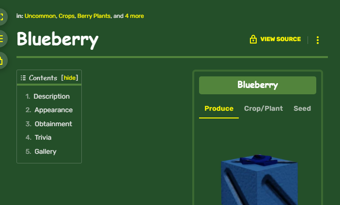 Blueberry Bush