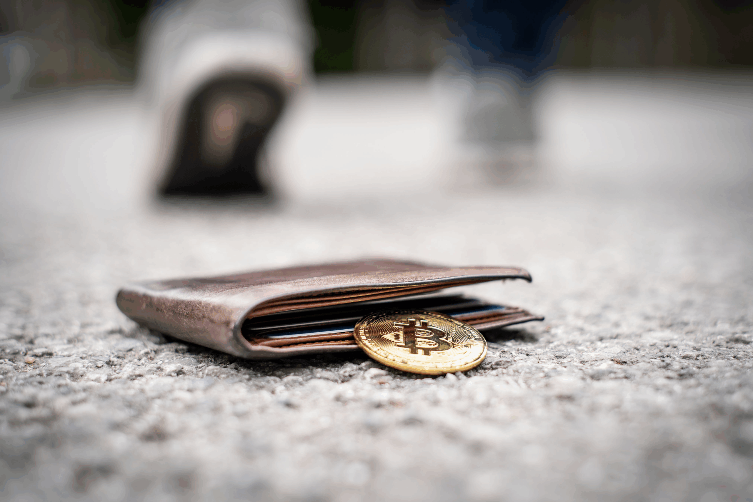 Enable Wallet Recovery Features