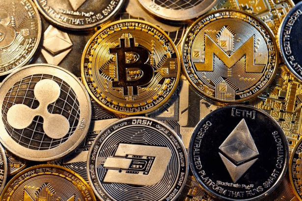10 Most Popular Crypto Casinos In 2025 – Top Trusted Sites Ranked