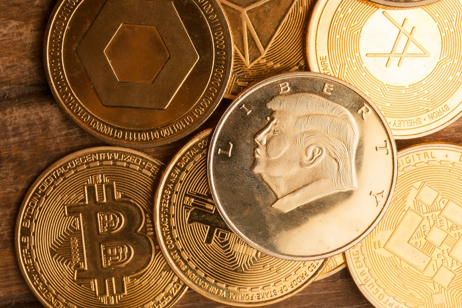 Trump Coin Winner