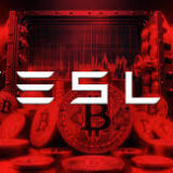 Tesla and SpaceX Revealed to Hold $2 Billion in Bitcoin