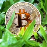 10 Best Green Energy Crypto Projects For Ethical Investors | Sustainable Blockchain Guide