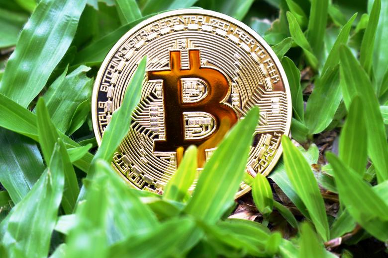 10 Best Green Energy Crypto Projects For Ethical Investors | Sustainable Blockchain Guide