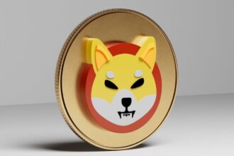 Lucie of SHIB Urges Calm as Crypto Market Reels Under Pressure