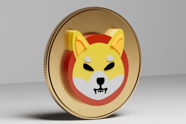Lucie of SHIB Urges Calm as Crypto Market Reels Under Pressure