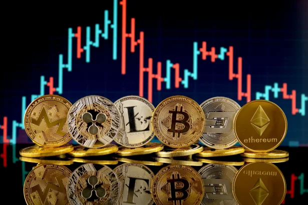 10 Best In Crypto That Works With Just a Phone Number: OTP-Based Wallet Access