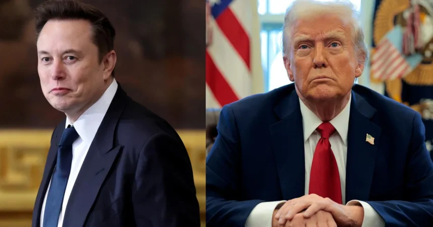 Elon Musk vs trump