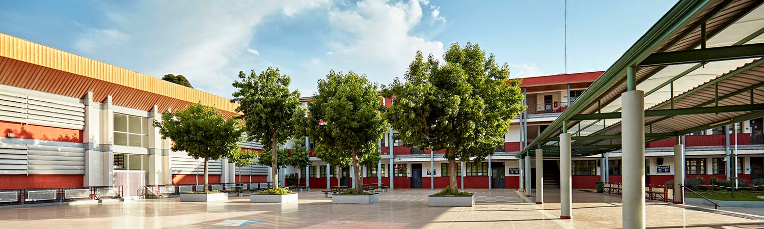 10 Best Undergraduate Business Schools – Top 10 Programs for Future Leaders