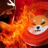 shib