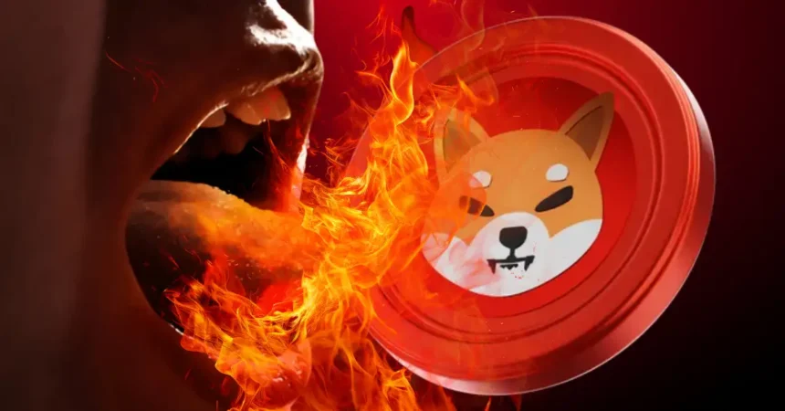 shib