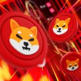 Shiba Inu