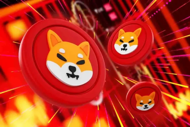 Shiba Inu Holders Make Bold Move in Shibarium Burn Vote Using 120K BONE