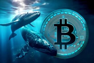 Massive Bitcoin Sell-Off Sparks Volatility as Whale Moves Over $2 Billion to Exchanges