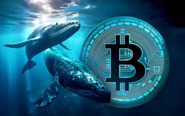 Massive Bitcoin Sell-Off Sparks Volatility as Whale Moves Over $2 Billion to Exchanges