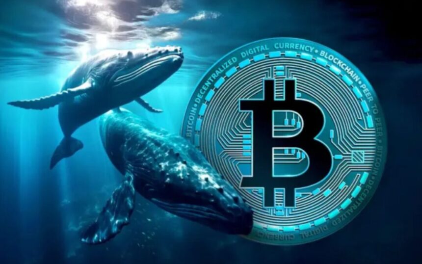 Massive Bitcoin Sell-Off Sparks Volatility as Whale Moves Over $2 Billion to Exchanges