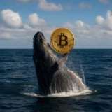 Dormant Bitcoin Whale Moves $649 Million After 6 Years — Crypto Market on High Alert.