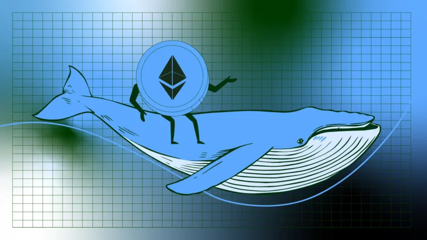 Whale Wallet Linked to Cumberland Scoops Up $76M in Ethereum-Is a Massive ETH Rally Brewing?