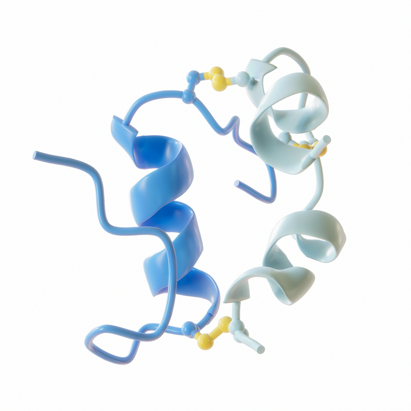 What Organ Creates Insulin?