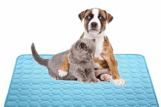 10 Best Cooling Mats For Dogs – Top 10 Picks for Hot Weather Relief
