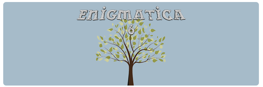 Enigmatica 6