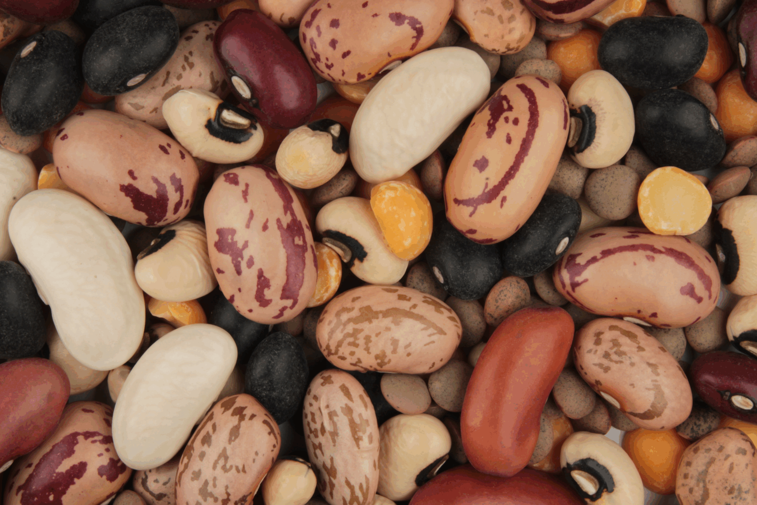 Beans & Lentils
