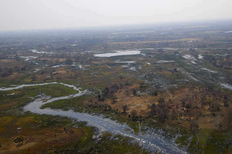 Okavango Delta, Botswana