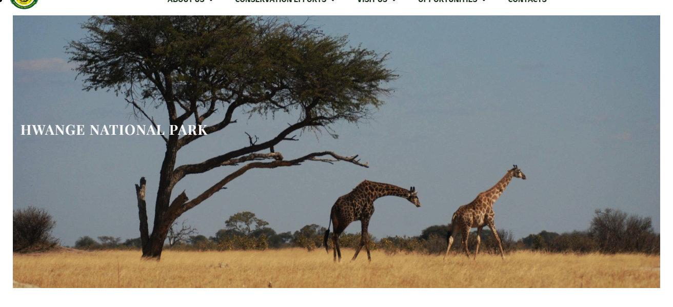Hwange National Park, Zimbabwe