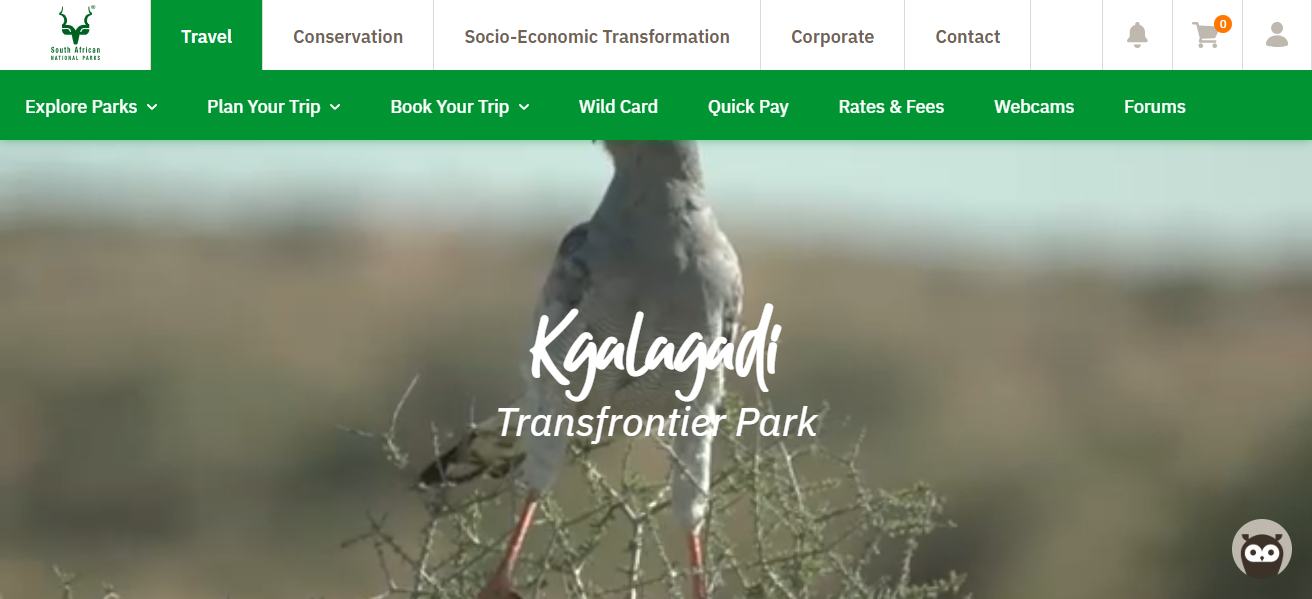Kgalagadi Transfrontier Park, S. Africa/Botswana