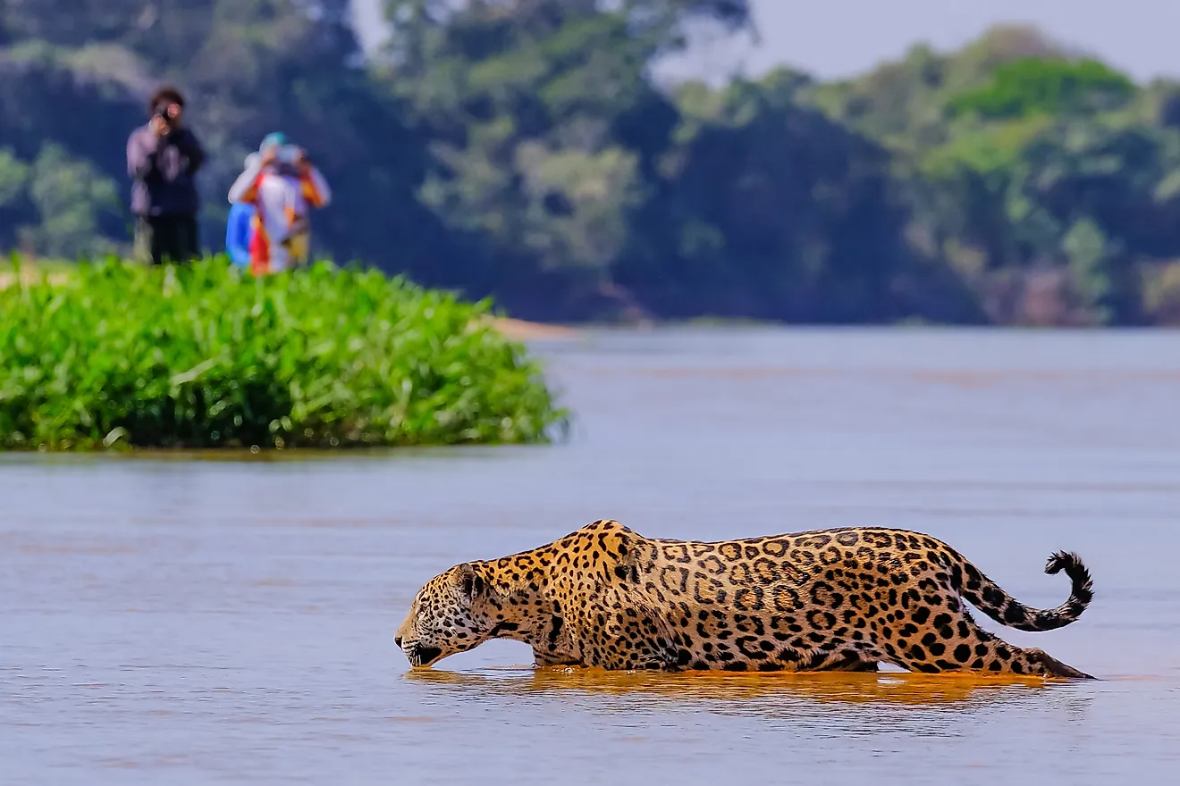 Pantanal, Brazil