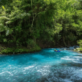 Why Do Nature Lovers Visit Alajuela Province