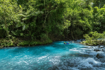 Why Do Nature Lovers Visit Alajuela Province