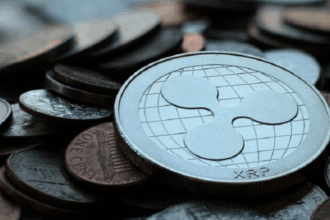 10 Best Multiplayer Crypto Casino Games | Top Crypto Gaming Sites