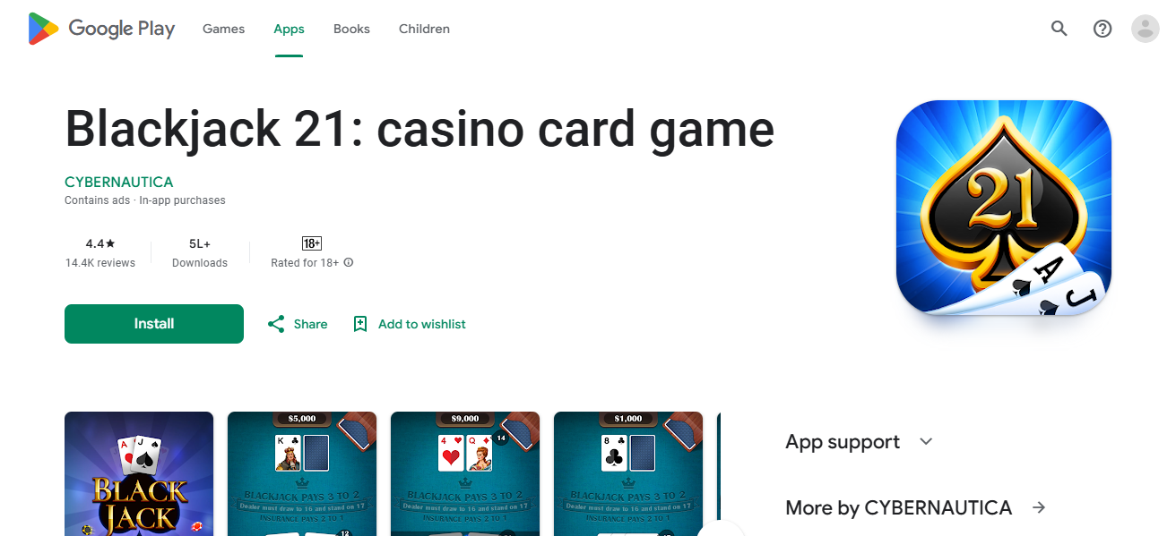 Blackjack casino