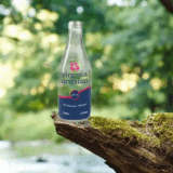 10 Best Bottled Water To Drink – Top 10 Brands For Pure Hydration