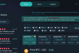 “How To Get Real-Time Whale Alerts Without Paid Tools (Free Methods 2025)”