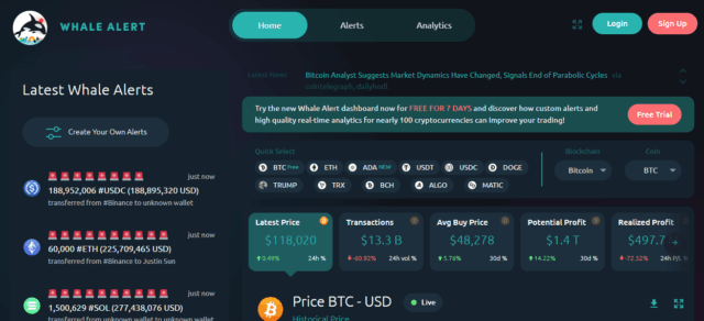 “How To Get Real-Time Whale Alerts Without Paid Tools (Free Methods 2025)”