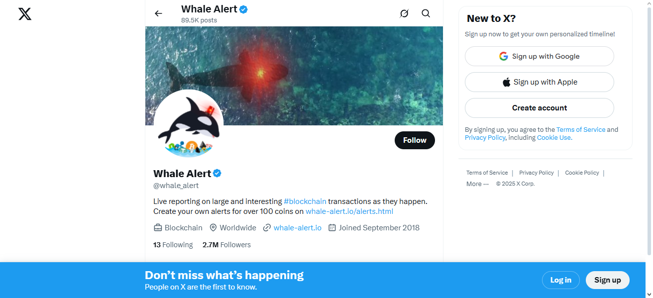 1. Twitter/X Based Whale Tracker Accounts