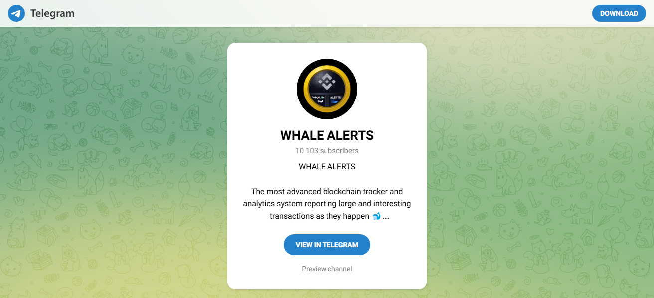 2. Telegram Based Whale Alert Channels