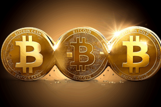 10 Best In Crypto You Can Use Without Internet: Offline Wallets for Real-World Survival