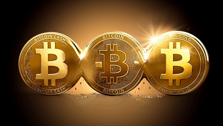 10 Best In Crypto You Can Use Without Internet: Offline Wallets for Real-World Survival