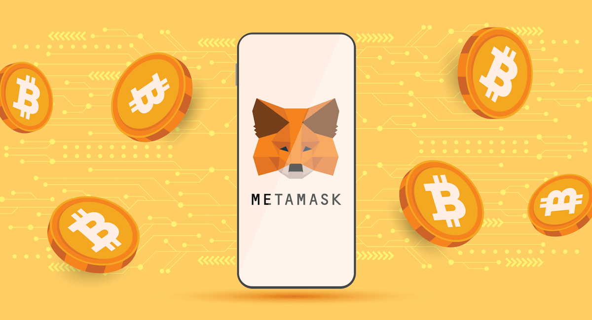 MetaMask Wallet (with guidance)