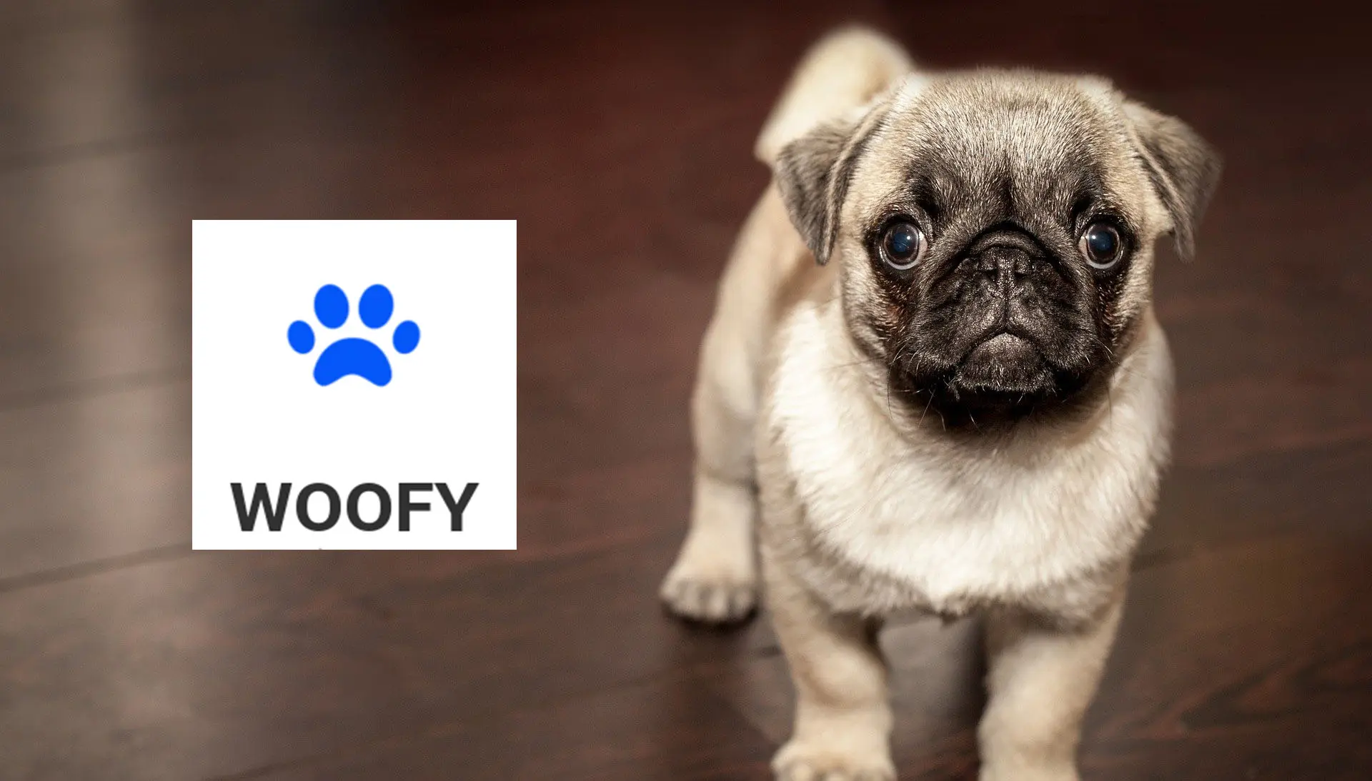 Woofy Token (WOOFY)