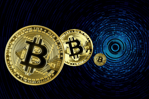 10 Top Governments With Highest Bitcoin Holdings In 2025