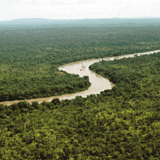 What Is The History Of Ecosystems? Origins & Evolution Explained