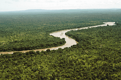 What Is The History Of Ecosystems? Origins & Evolution Explained