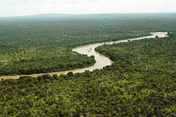 What Is The History Of Ecosystems? Origins & Evolution Explained