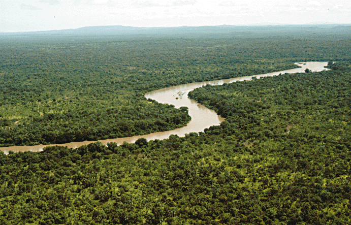 What Is The History Of Ecosystems? Origins & Evolution Explained