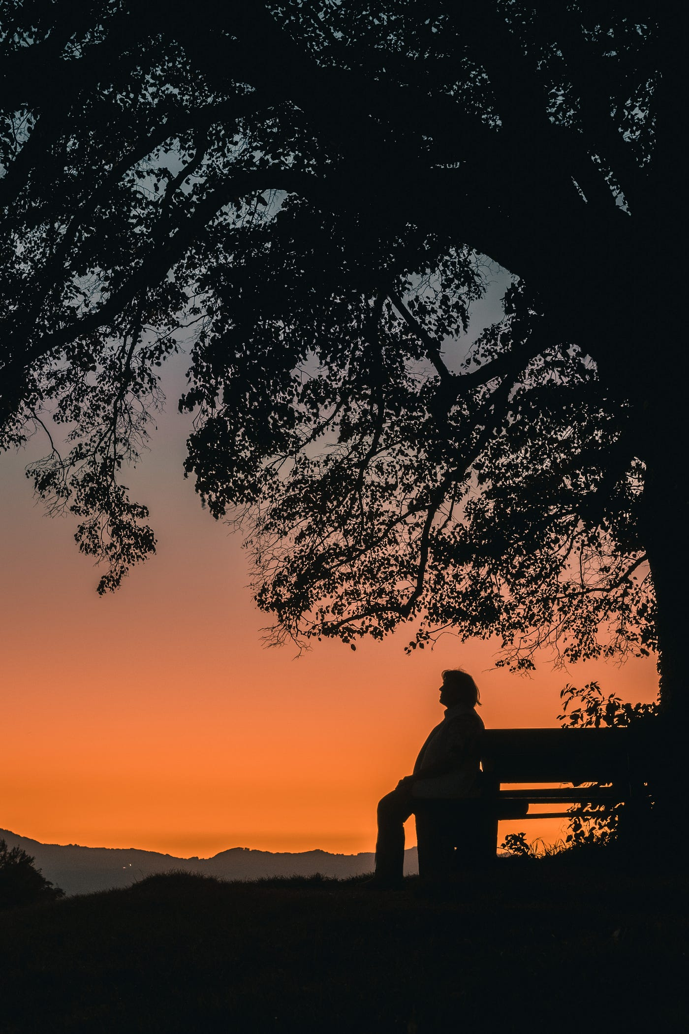 Discovering Life Purpose