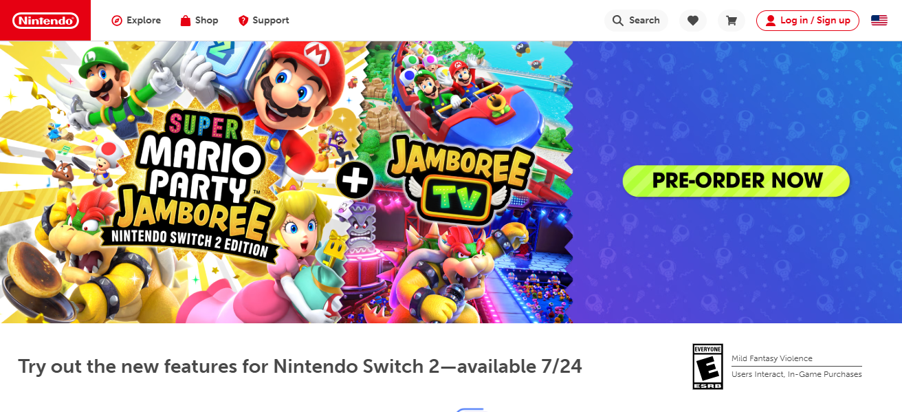 Nintendo